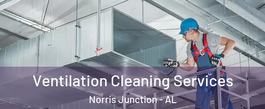 Ventilation Cleaning Services Norris Junction - AL