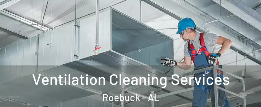 Ventilation Cleaning Services Roebuck - AL