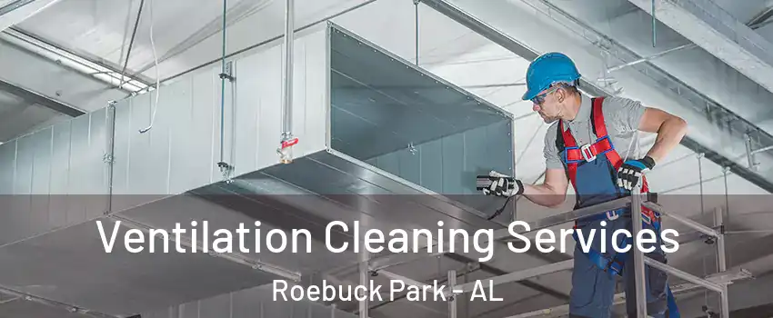 Ventilation Cleaning Services Roebuck Park - AL