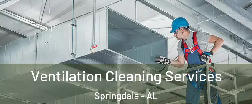 Ventilation Cleaning Services Springdale - AL