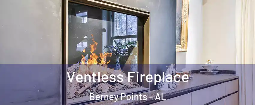 Ventless Fireplace Berney Points - AL