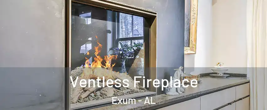 Ventless Fireplace Exum - AL