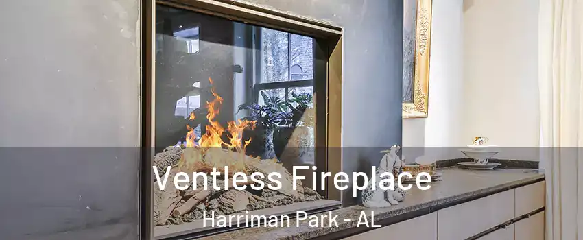 Ventless Fireplace Harriman Park - AL