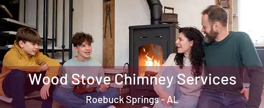 Wood Stove Chimney Services Roebuck Springs - AL