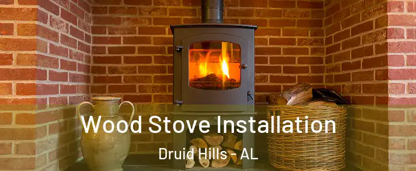 Wood Stove Installation Druid Hills - AL