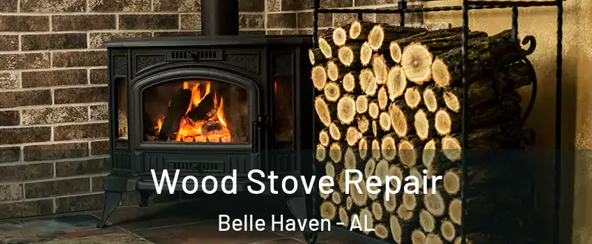 Wood Stove Repair Belle Haven - AL